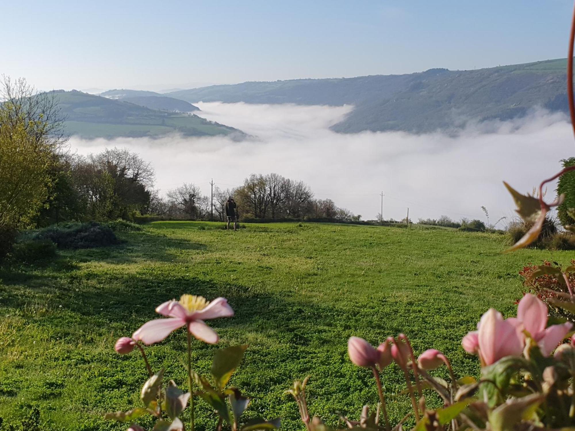 Вілла La Colline Du Chat Perche Connac Екстер'єр фото